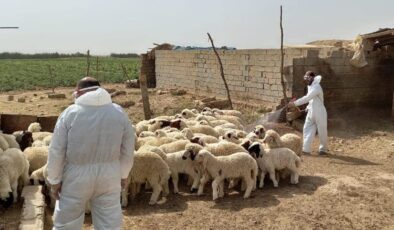 سامان بەرزنجی: کەسێک بە تای خوێنبەربوون گیانی لەدەستدا